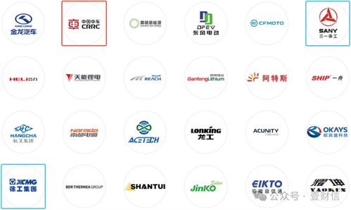 思客琦問(wèn)詢回復(fù)引質(zhì)疑 高管履歷披露存疑，信息咨詢服務(wù)成焦點(diǎn)